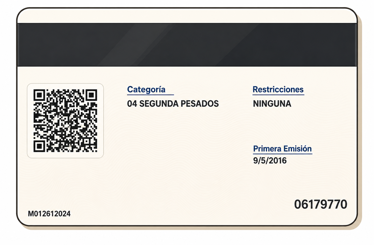 Ejemplo de licencia externa trasera