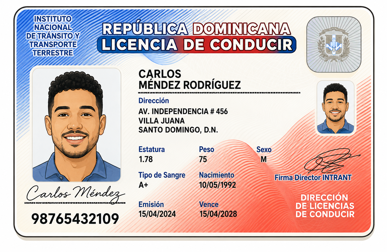 Ejemplo de licencia externa delantera